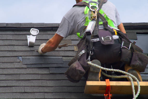Best Storm Damage Roof Repair  in Coleraine, MN