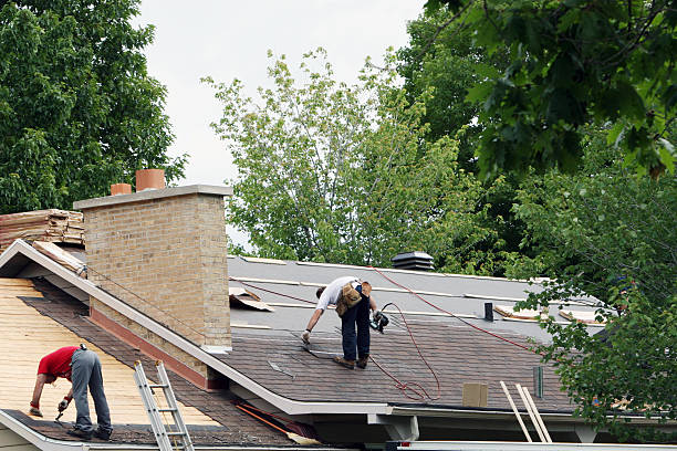 Best Roof Leak Repair  in Coleraine, MN