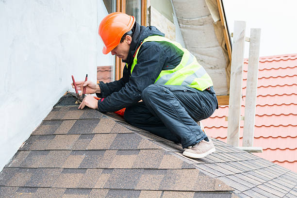 Best Emergency Roof Repair  in Coleraine, MN