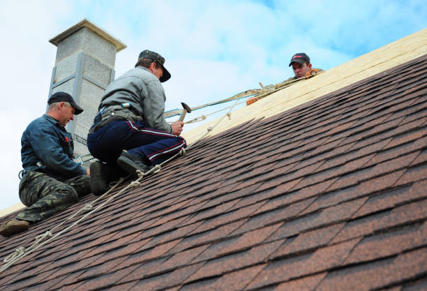 Quick and Trustworthy Emergency Roof Repair Services in Coleraine, MN