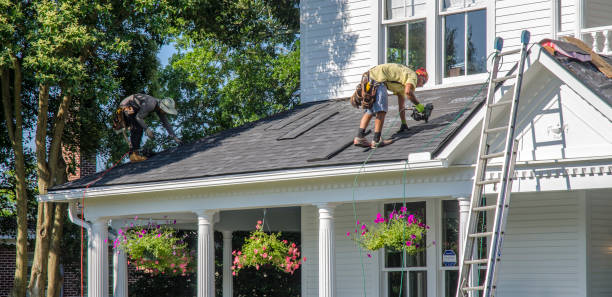Best Flat Roof Repair Services  in Coleraine, MN