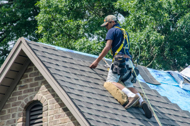 Professional Roofing Contractor in Coleraine, MN